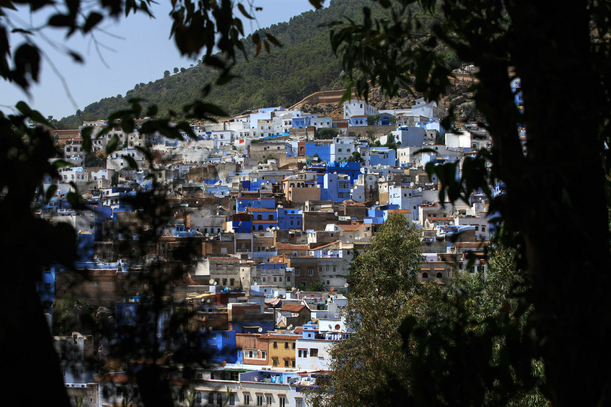 Riad Zaitouna Chaouen Hotel Chefchaouen Exterior photo