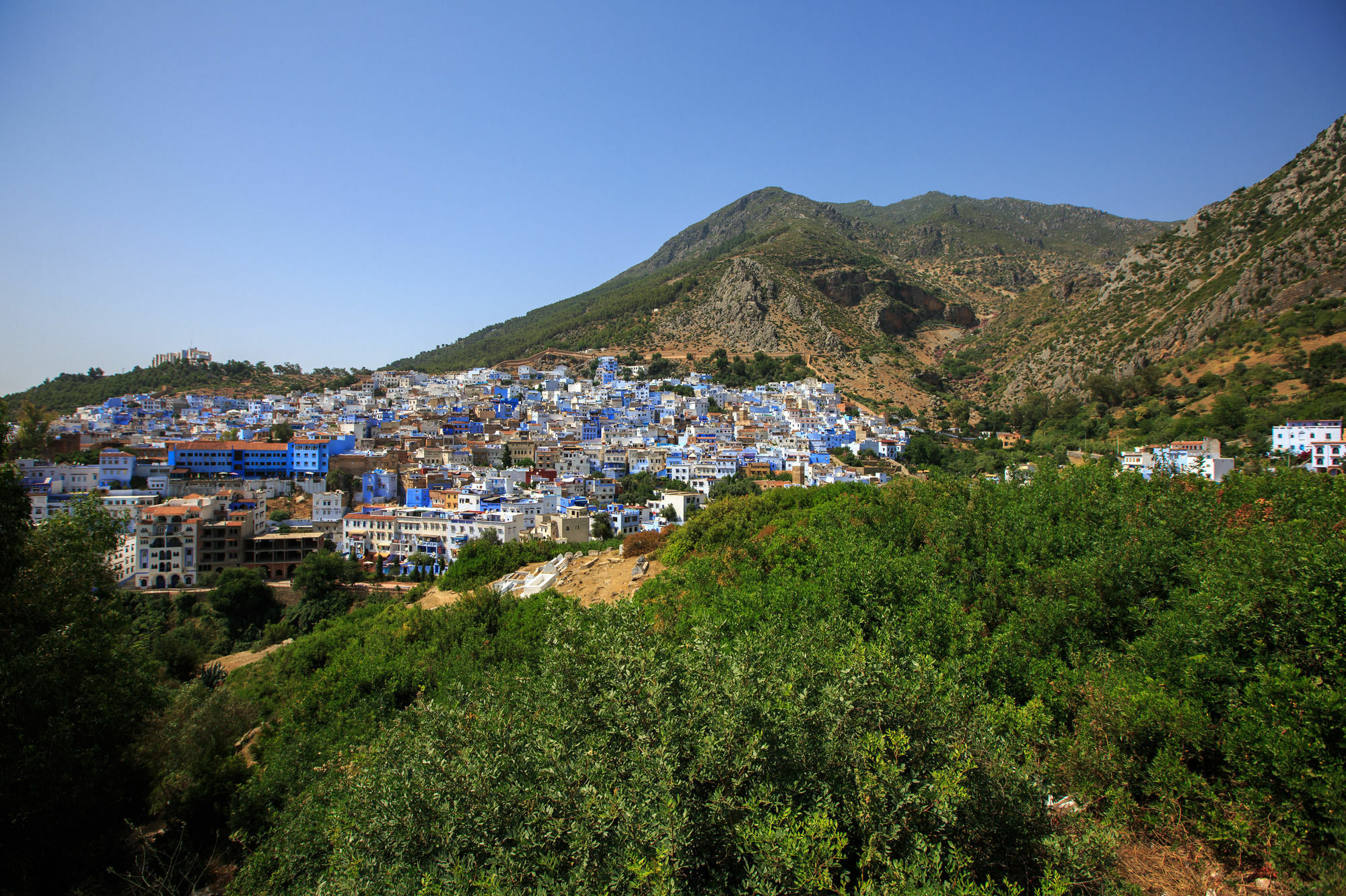 Riad Zaitouna Chaouen Hotel Chefchaouen Exterior photo